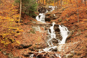 ravine