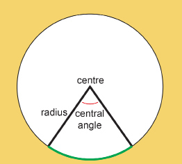This is an illustration showing the location of a central angle between two radii on a circle.