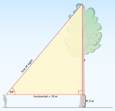 This illustration shows a diagram of a man looking at a tree. A right triangle is superimposed on the diagram with a horizontal length of 10 m and an angle of elevation from the horizontal to the top of the tree equal to 50°.