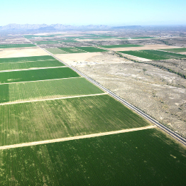 This shows an aerial view of farmland divided into rectangular areas.