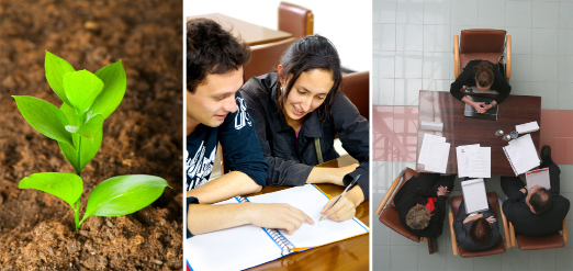 This photo collage shows a sprouting plant, two high school students studying together, and four businesspeople seated around a table.
