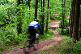 This is a photo of a person riding a mountain bike along a trail through a forest.