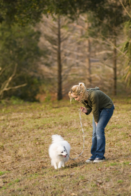 This is a photo of a teen walking a small white dog in a park.