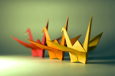 This shows a photo of three origami birds.