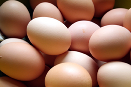This picture shows a pile of eggs.