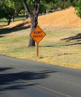 This photo shows a road and a road sign that reads Bump Ahead.