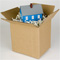 This is a photo of a house in a box.