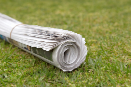 This is a photo of a home-delivered newspaper on the lawn.