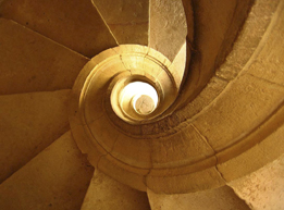 This image shows a cross-section of a snail shell.