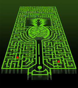 This is a graphic of the Dole Plantation Maze.