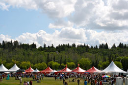 As many as 65 pavilions are setup for the Heritage Festival at Edmonton in August.
