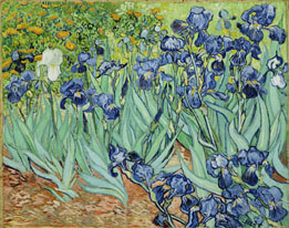 This shows a photographic reproduction of Van Gogh’s Irises.