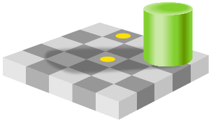 This shows an illustration of a green cylinder casting a shadow across a 5 x 5 checkerboard. The checkerboard is made up of squares of two different shades of grey. There are two yellow circle on two of the squares.