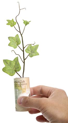 In this photo a green vine is growing from a roll of Canadian one hundred dollar bills.