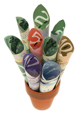 The flowerpot in this photo is filled with various denominations of Canadian currency. All of this money is in bills.