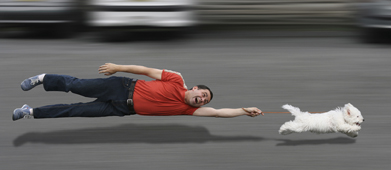 This image shows a dog pulling its master along the street.