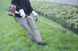 This is a photo of a person using a grass trimmer.