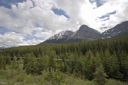 This is a photo of a train going through Kicking Horse Pass.