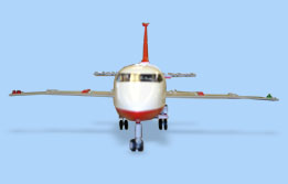 This is an image of a model airplane viewed from in front of the plane.