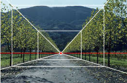 This is a photo of a road lined by trees converging to a point on the horizon with towering mountains in the background. A horizontal red line is at the observer's eye level.