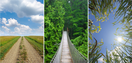 Each one of these three photos has an example of a vanishing point. From left, the photos are of a road, a foot bridge, and a field of grass.