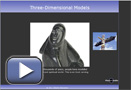 This thumbnail opens Three-Dimensional Models.