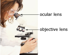 This is a photo of a woman looking through a microscope.