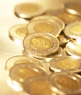 This is a photo of a bunch of toonies.