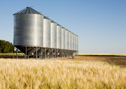 This is a photo of several cylindrical granaries in a field.
