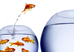 This is a photo of aquariums.