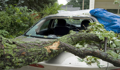 This is a photo of a car with a large broken branch across the hood.
