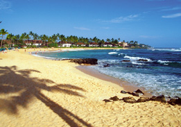 This is a photograph of a beach in Hawaii on a sunny day.