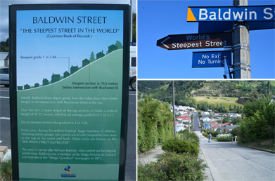 These are photographs of Baldwin Street in Dunedin, New Zealand.