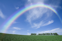 This is a photograph of a rainbow over a green field with a blue sky in the background.