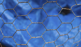 This is a photograph of chicken wire with a blue background.