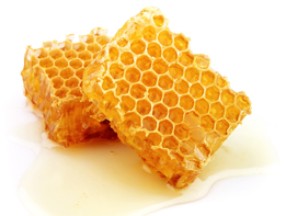 This is a photograph of a honeycomb that shows regular hexagons.