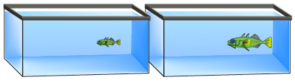 This is a diagram of two aquariums. There is a small fish in the first and a large fish in the second.