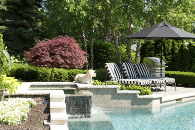 This is a photograph of a backyard with various plants, some furniture, and a pool.