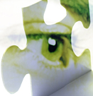 This illustration shows a puzzle piece with an eye in it.