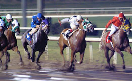 This is a photo of a horse race.