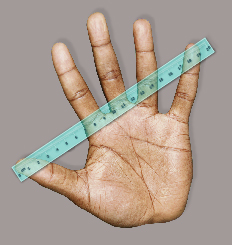 This is a photo of a person’s hand with a ruler superimposed.