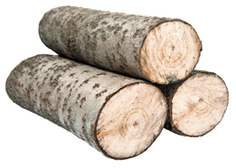 This is a photo of three logs of wood.