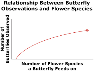 This is a graph of a curve increasing going from left to right. The horizontal axis is labelled “Number of Flower Species a Butterfly Feeds on” and the vertical axis is labelled “Number of Butterflies Observed.”