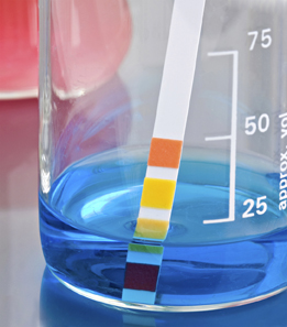 This picture shows pH indicator paper in a blue liquid.