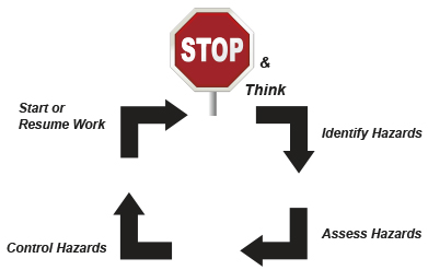 This is an image of the five steps in field level hazard assessment.