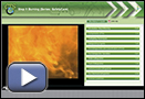 This is a play button that launches Stop It Burning.