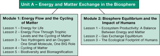 Concept Organizer