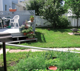 This photo shows a sunny day in a backyard with a garden in the foreground and flowers on a deck in the background.