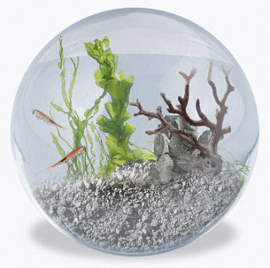 This image depicts a biosphere contained within a glass globe. The globe is filled with salt water and contains sandy sediments, coral, seaweed, and some small fish. Biogeochmical cycles are maintained by the abiotic and biotic components of this system.