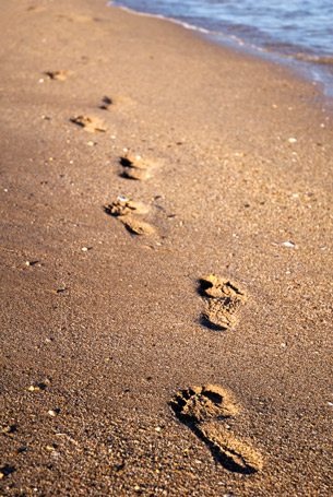 A photograph shows footprints on a sandy beach.